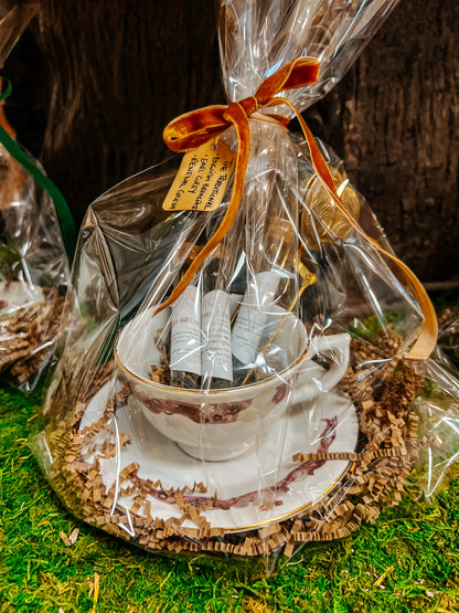 Rooted Teacup Gift Sets