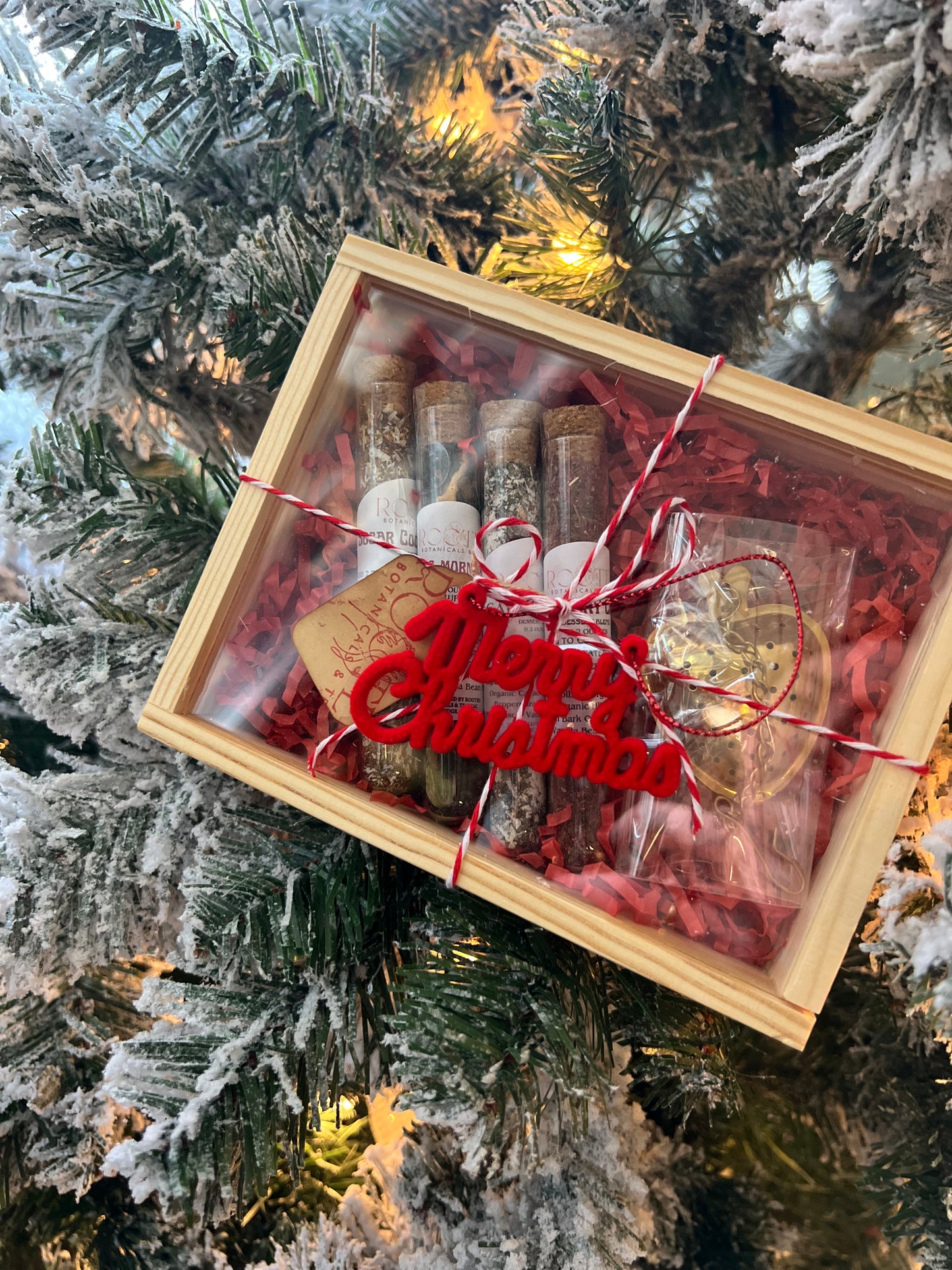 Rooted Holiday Gift Set